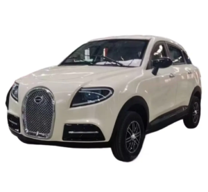 Rushed Luxury Car Vehicle Low Speed New Energy Vehicles Electric