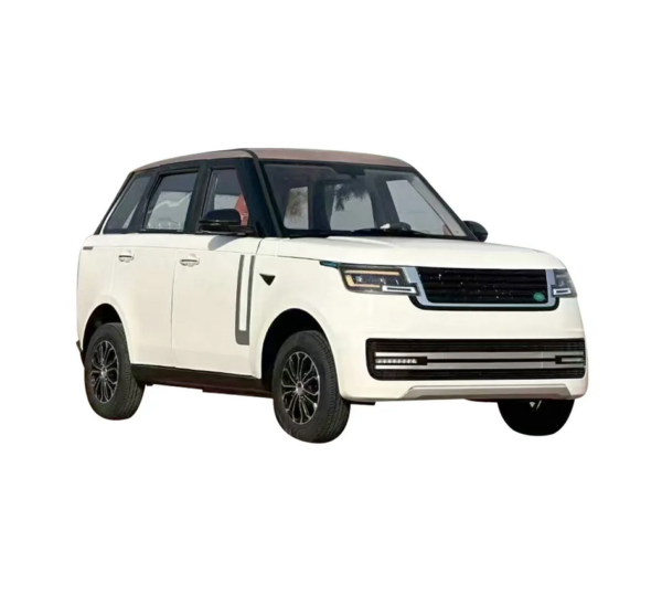 Electric Car for Elderly Small Electric Cars for Sale Cheap Micro Electric Car