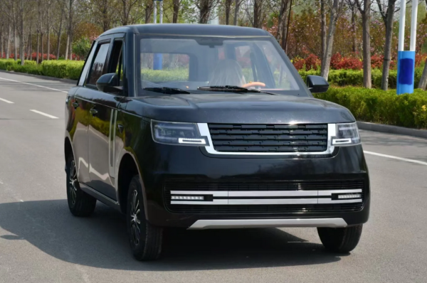 Electric Car for Elderly Small Electric Cars for Sale Cheap Micro Electric Car - Image 4
