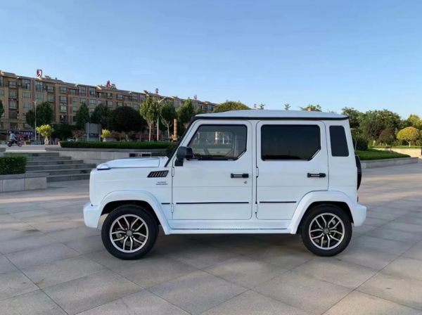 Small Electric Car g Wagon Chinese Electric Car Mini Electric Car - Image 5