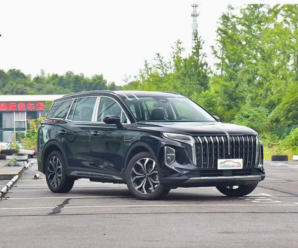 Hongqi HS7 High Performance Medium