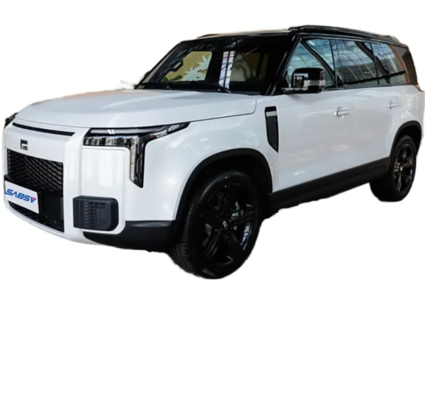 ROX 01 Electric SUV High Speed Hybrid Electric Car with Lithium Battery New Energy Vehicle with Left Steering