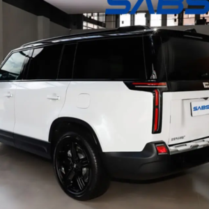 ROX 01 Electric SUV High Speed Hybrid Electric Car with Lithium Battery New Energy Vehicle with Left Steering