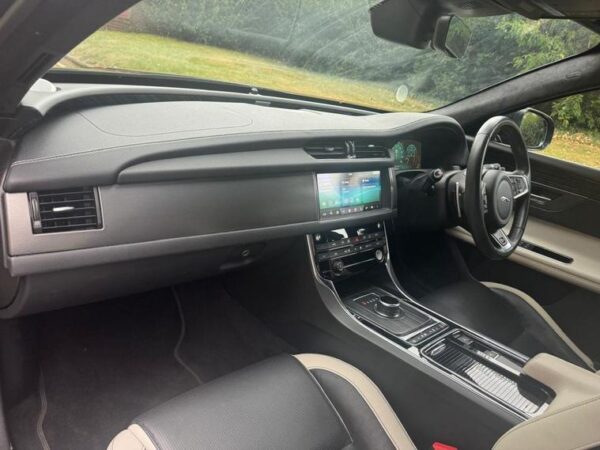 JAGUAR - Image 7