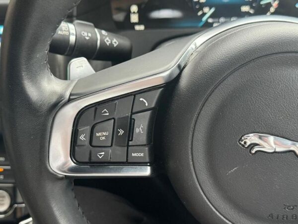 JAGUAR - Image 3