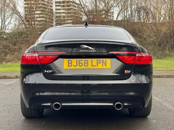 JAGUAR - Image 12